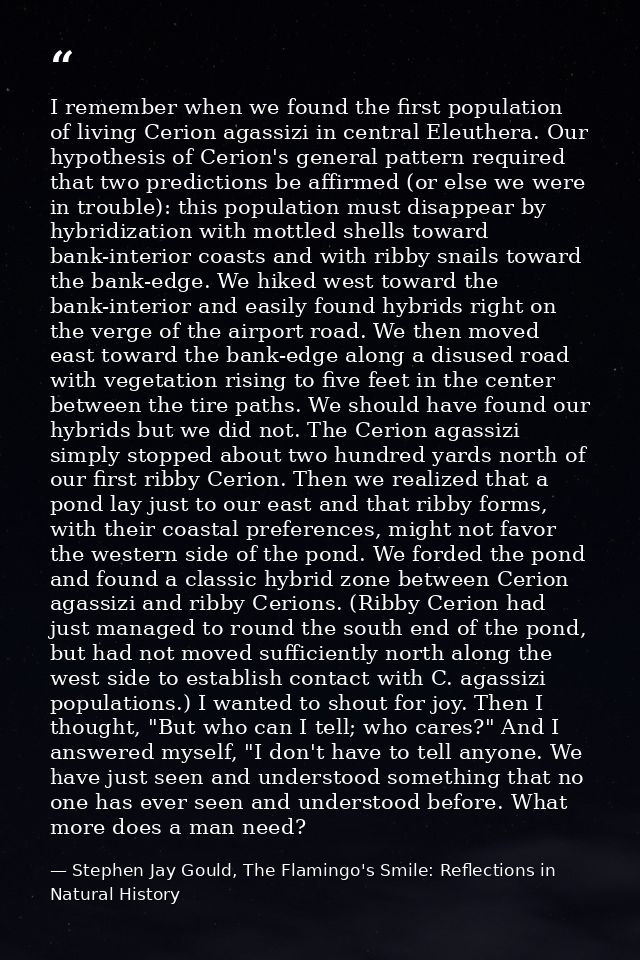I remember when we found the first population of living Cerion agassizi in central Eleuthera. Our hypothesis of Cerion's — Stephen Jay Gould, The Flamingo's Smile: Reflections in Natural History