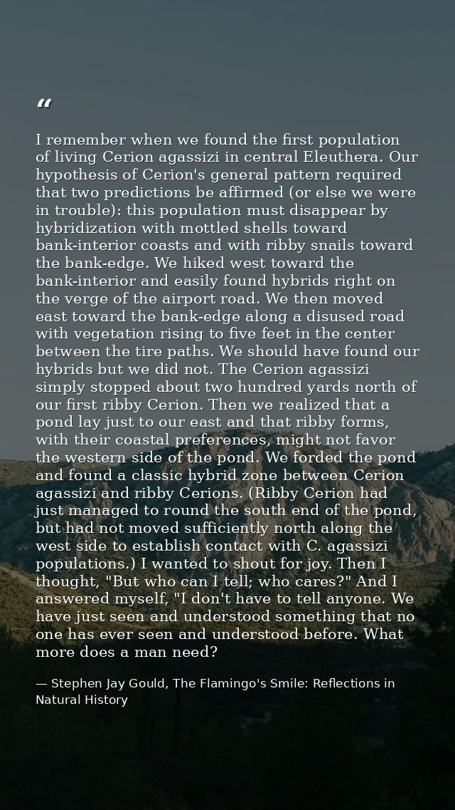 I remember when we found the first population of living Cerion agassizi in central Eleuthera. Our hypothesis of Cerion's — Stephen Jay Gould, The Flamingo's Smile: Reflections in Natural History