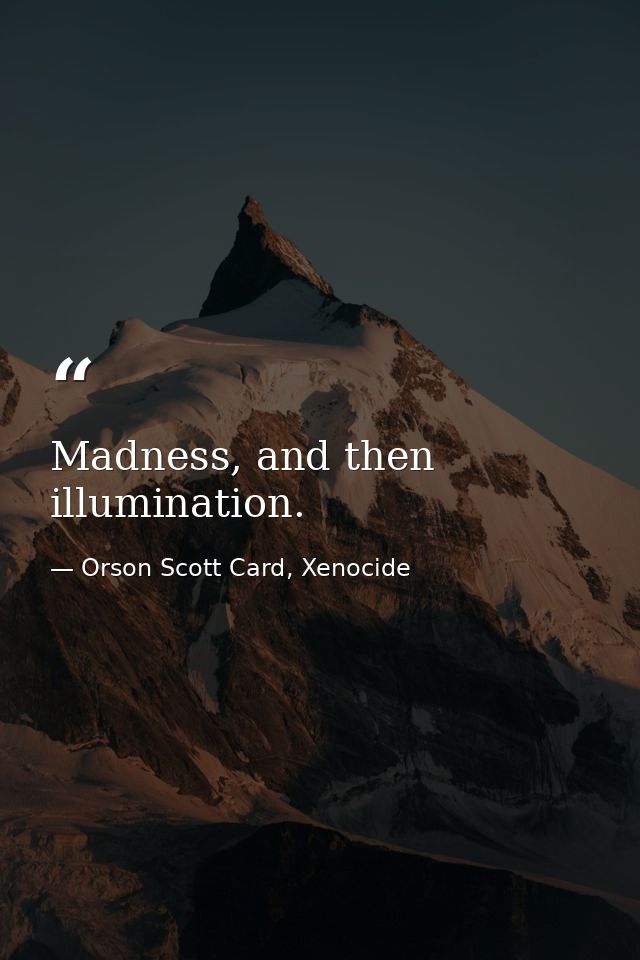Madness, and then illumination. — Orson Scott Card, Xenocide