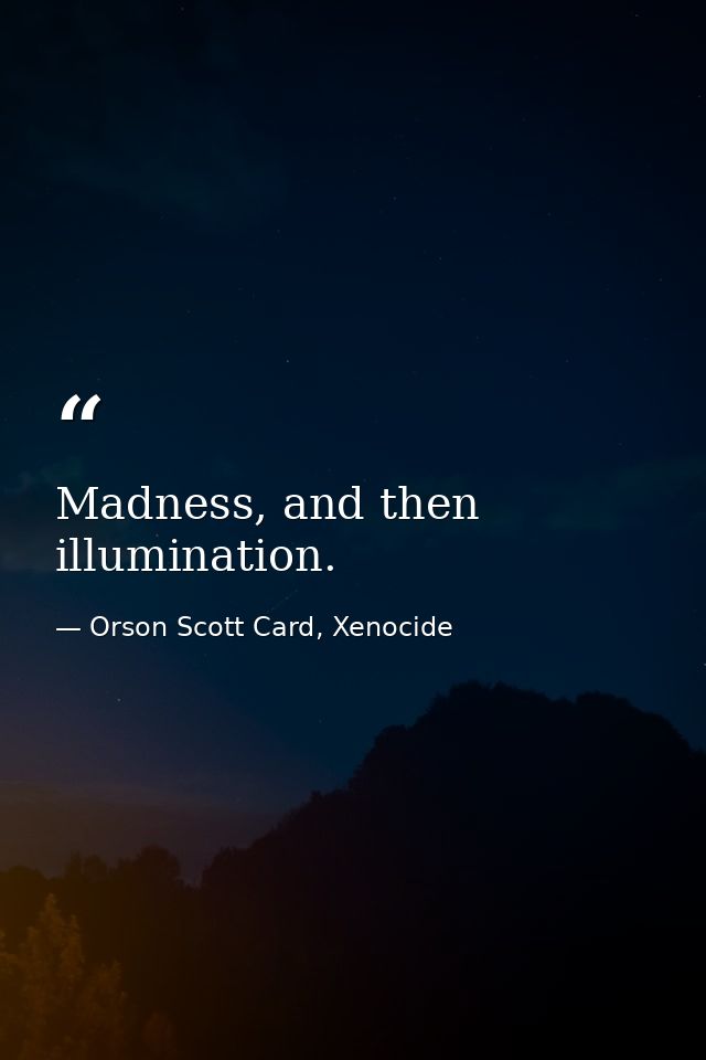 Madness, and then illumination. — Orson Scott Card, Xenocide