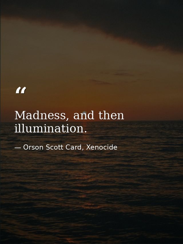 Madness, and then illumination. — Orson Scott Card, Xenocide