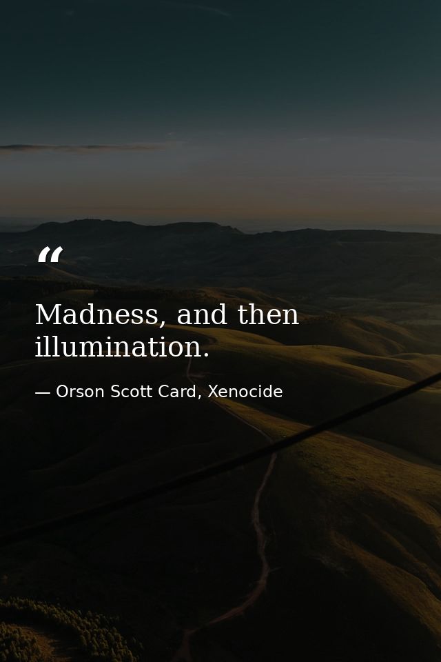 Madness, and then illumination. — Orson Scott Card, Xenocide