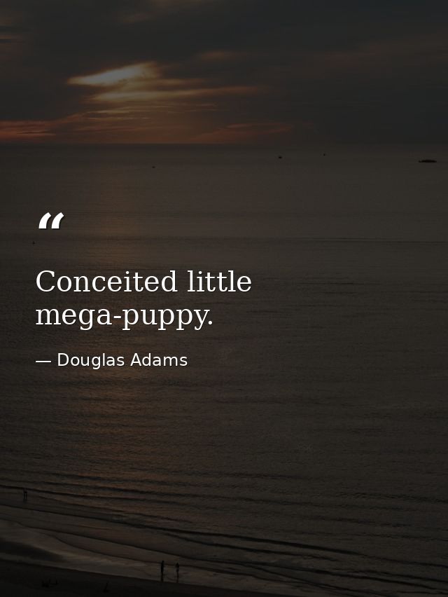 Conceited little mega-puppy. — Douglas Adams