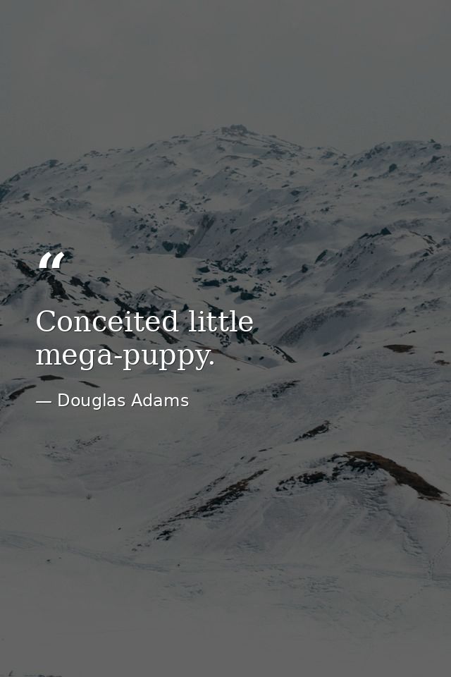 Conceited little mega-puppy. — Douglas Adams