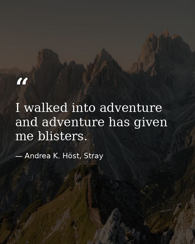 I walked into adventure and adventure has given me blisters. — Andrea K. Höst, Stray