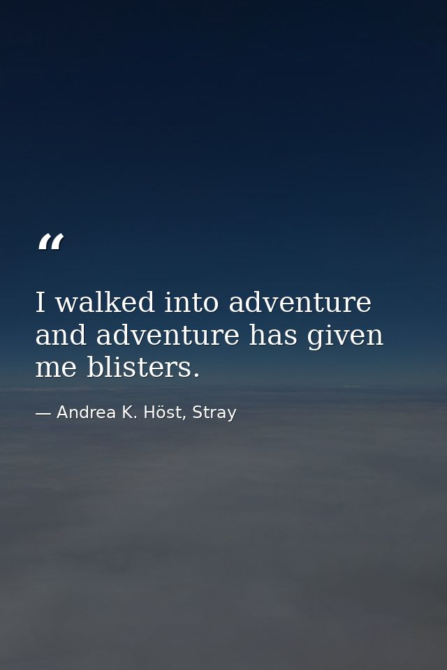 I walked into adventure and adventure has given me blisters. — Andrea K. Höst, Stray