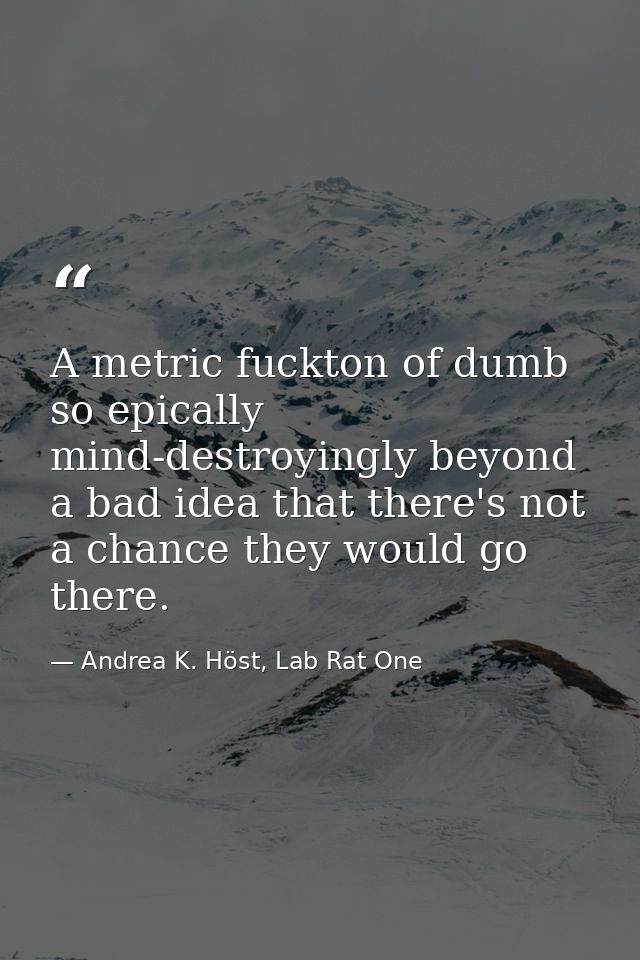 A metric fuckton of dumb so epically mind-destroyingly beyond a bad idea that there's not a chance they would go there. — Andrea K. Höst, Lab Rat One