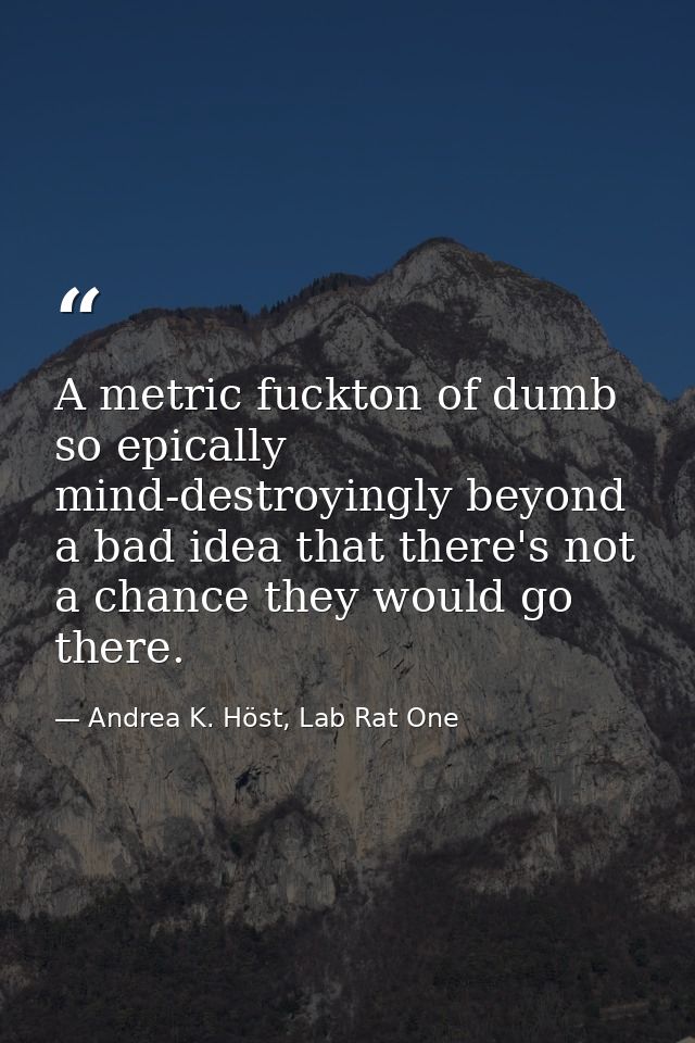 A metric fuckton of dumb so epically mind-destroyingly beyond a bad idea that there's not a chance they would go there. — Andrea K. Höst, Lab Rat One