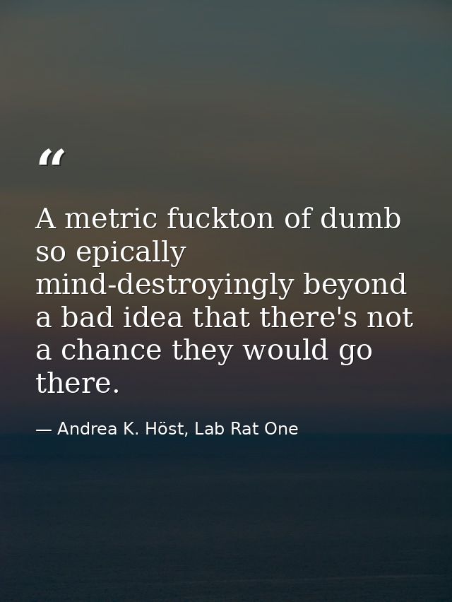 A metric fuckton of dumb so epically mind-destroyingly beyond a bad idea that there's not a chance they would go there. — Andrea K. Höst, Lab Rat One