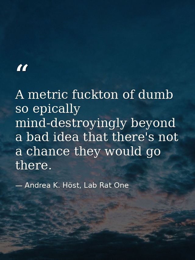 A metric fuckton of dumb so epically mind-destroyingly beyond a bad idea that there's not a chance they would go there. — Andrea K. Höst, Lab Rat One