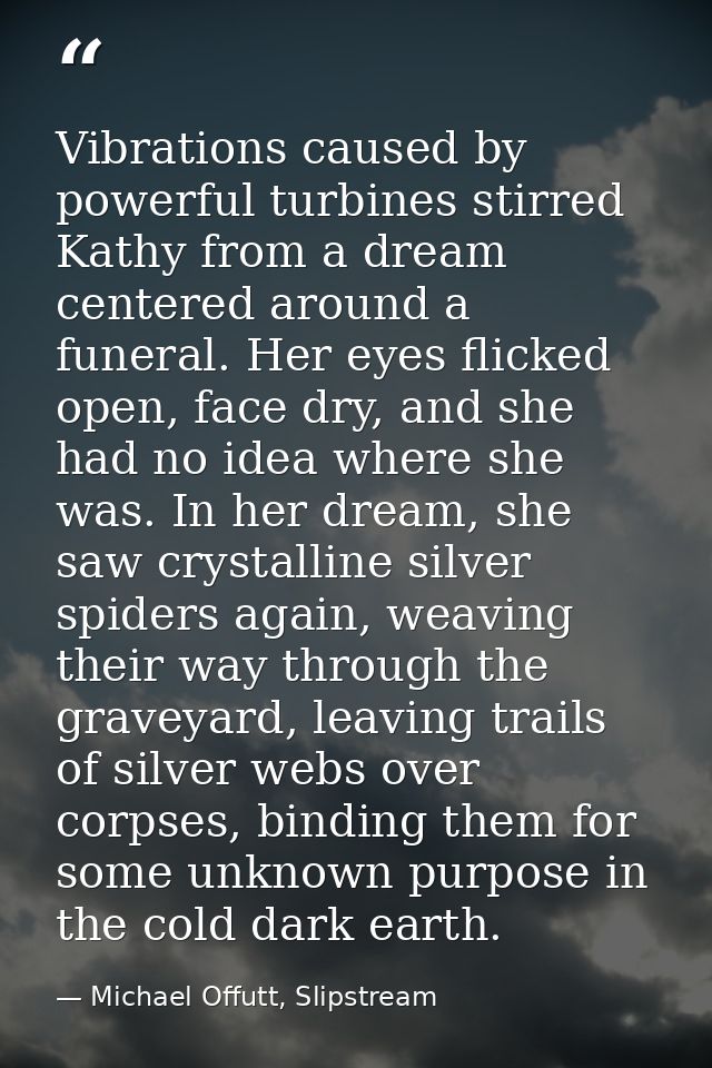 Vibrations caused by powerful turbines stirred Kathy from a dream centered around a funeral. Her eyes flicked open, face — Michael Offutt, Slipstream