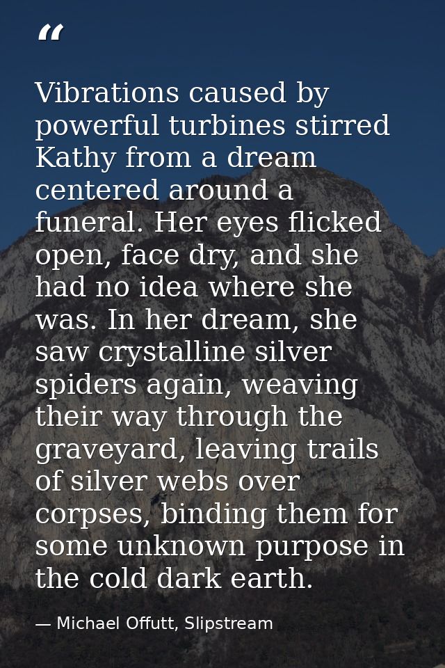 Vibrations caused by powerful turbines stirred Kathy from a dream centered around a funeral. Her eyes flicked open, face — Michael Offutt, Slipstream