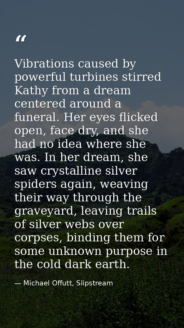Vibrations caused by powerful turbines stirred Kathy from a dream centered around a funeral. Her eyes flicked open, face — Michael Offutt, Slipstream