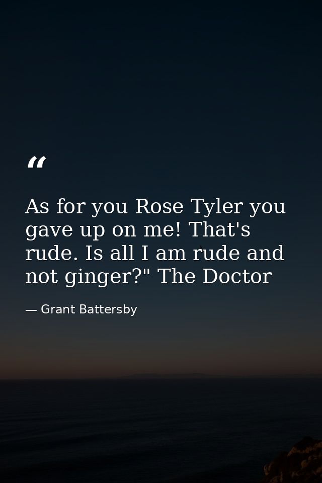 As for you Rose Tyler you gave up on me! That's rude. Is all I am rude and not ginger?" The Doctor — Grant Battersby