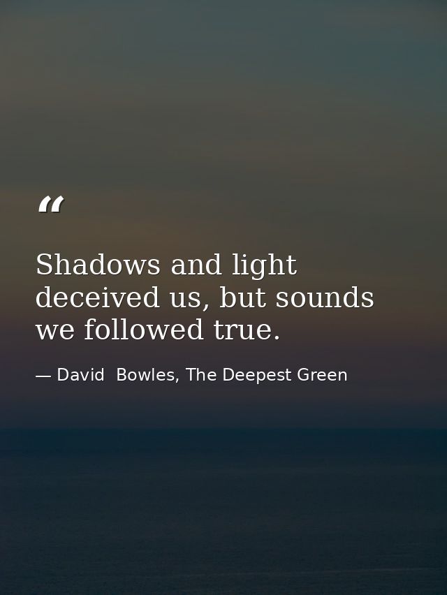 Shadows and light deceived us, but sounds we followed true. — David  Bowles, The Deepest Green