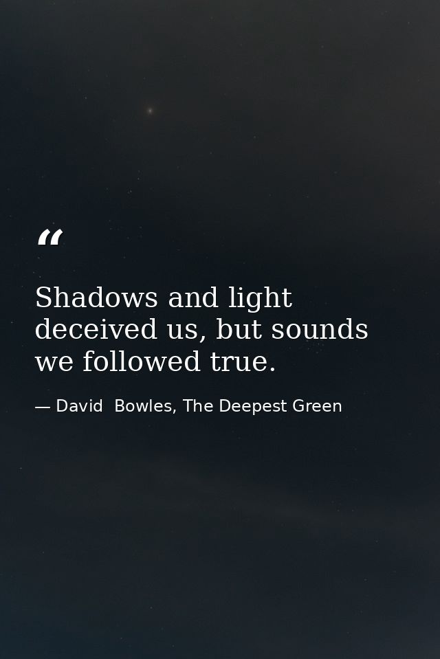Shadows and light deceived us, but sounds we followed true. — David  Bowles, The Deepest Green