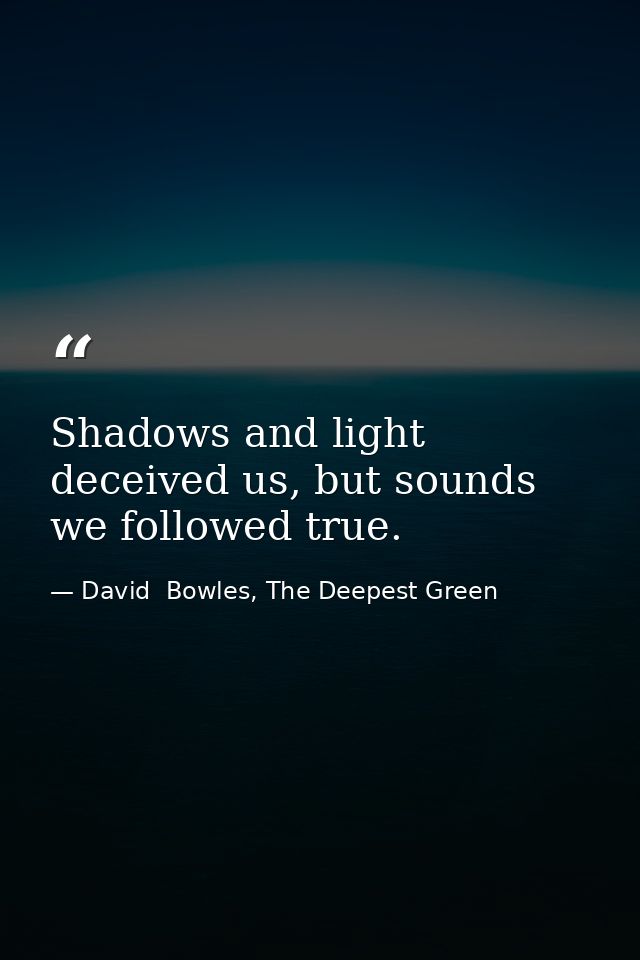 Shadows and light deceived us, but sounds we followed true. — David  Bowles, The Deepest Green
