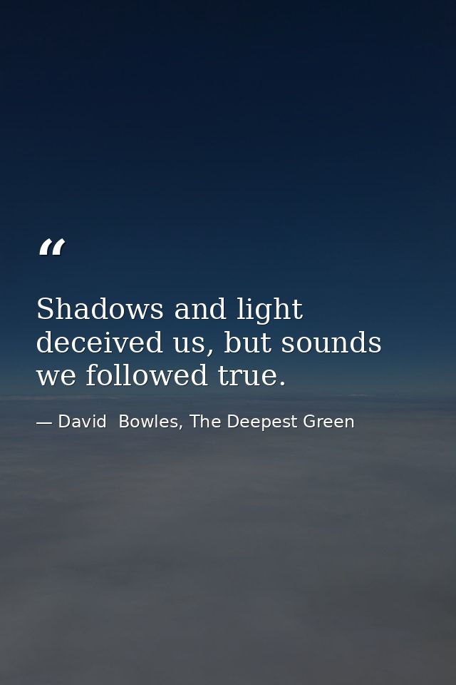 Shadows and light deceived us, but sounds we followed true. — David  Bowles, The Deepest Green