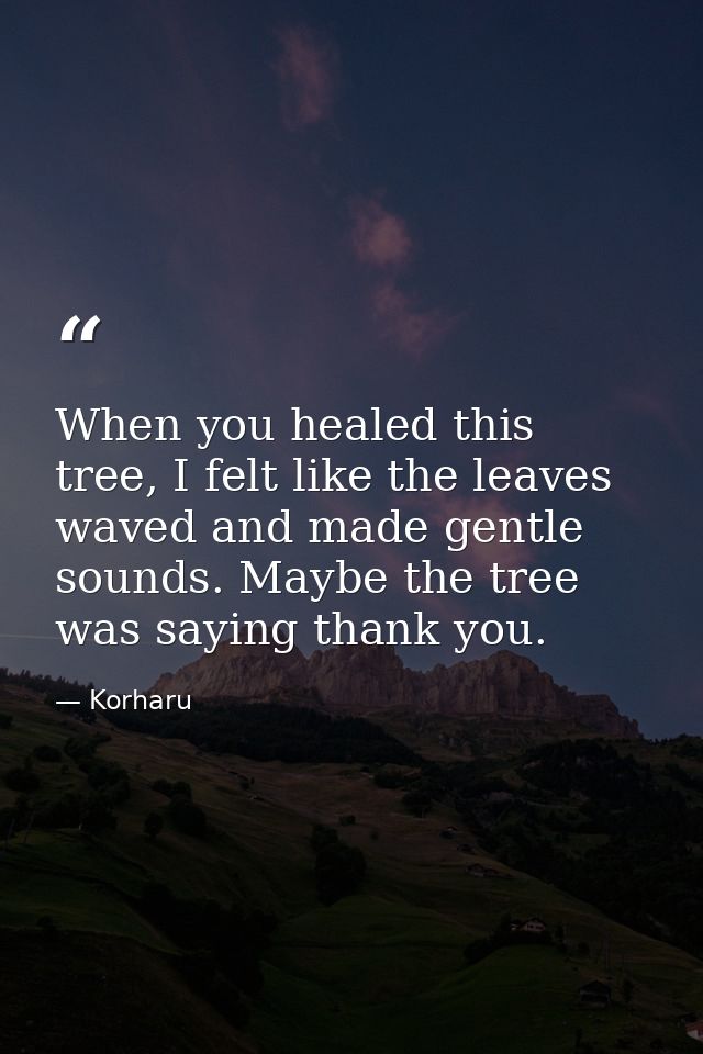 When you healed this tree, I felt like the leaves waved and made gentle sounds. Maybe the tree was saying thank you. — Korharu