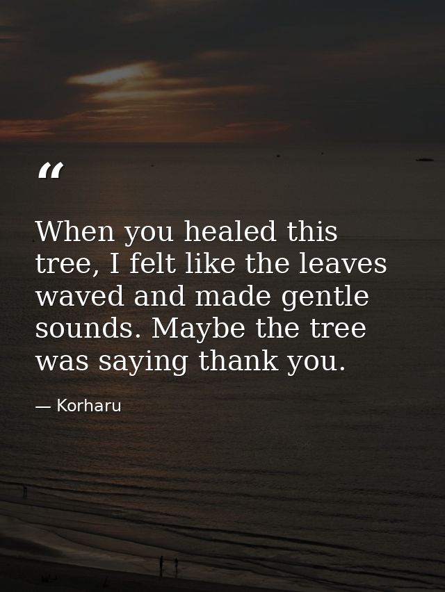 When you healed this tree, I felt like the leaves waved and made gentle sounds. Maybe the tree was saying thank you. — Korharu