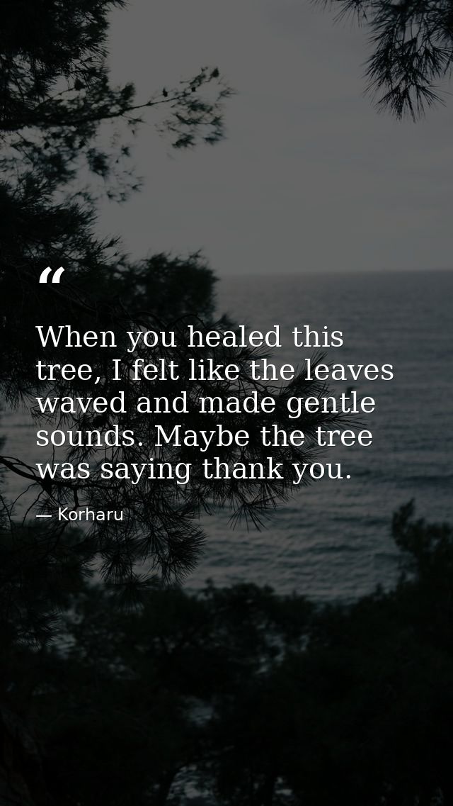 When you healed this tree, I felt like the leaves waved and made gentle sounds. Maybe the tree was saying thank you. — Korharu