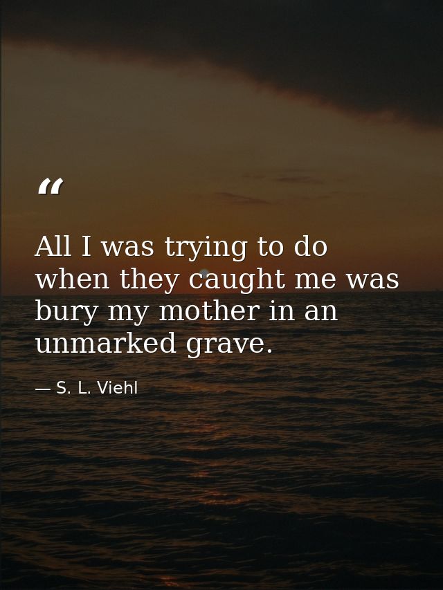 All I was trying to do when they caught me was bury my mother in an unmarked grave. — S. L. Viehl