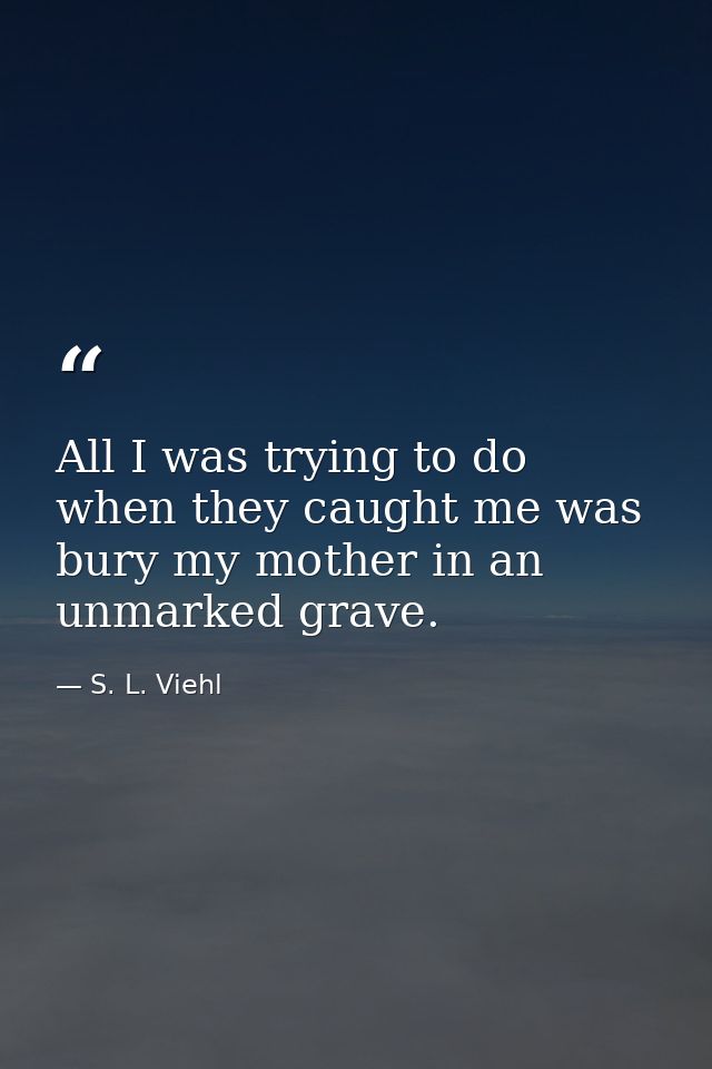 All I was trying to do when they caught me was bury my mother in an unmarked grave. — S. L. Viehl