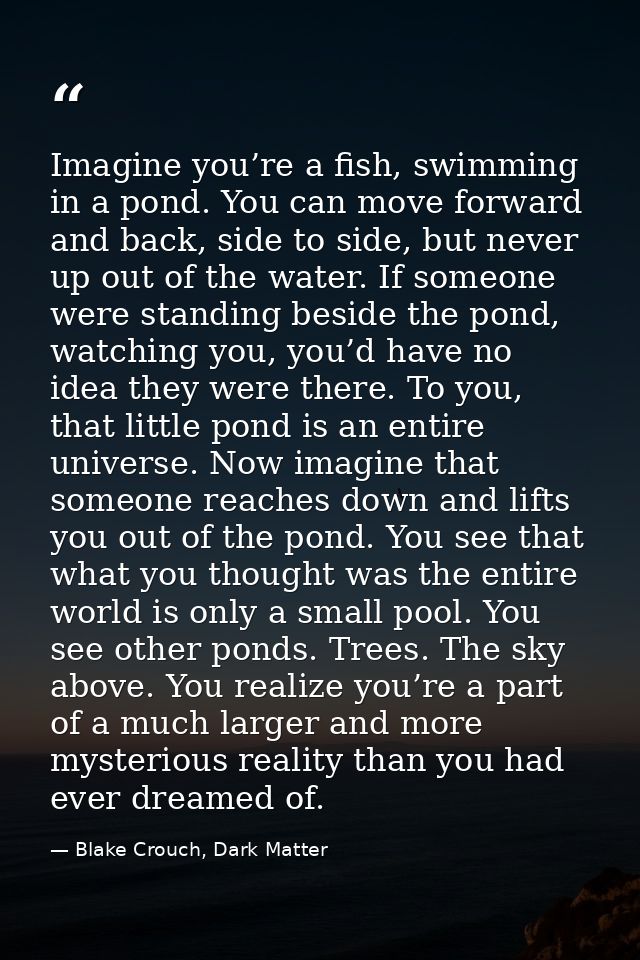 Imagine you’re a fish, swimming in a pond. You can move forward and back, side to side, but never up out of the water. I — Blake Crouch, Dark Matter