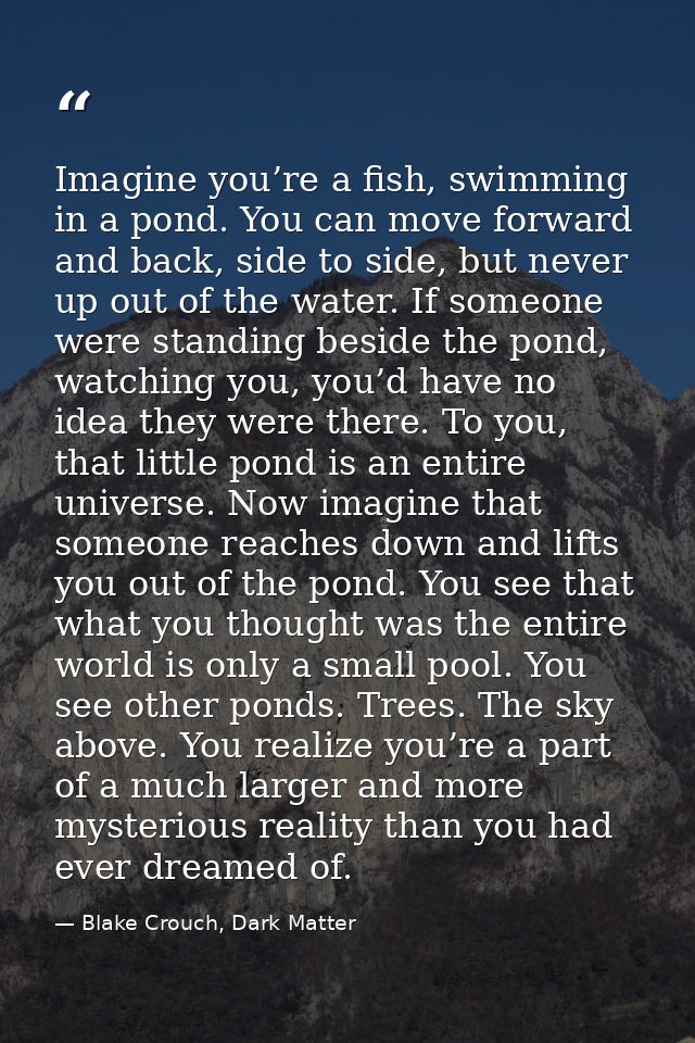 Imagine you’re a fish, swimming in a pond. You can move forward and back, side to side, but never up out of the water. I — Blake Crouch, Dark Matter