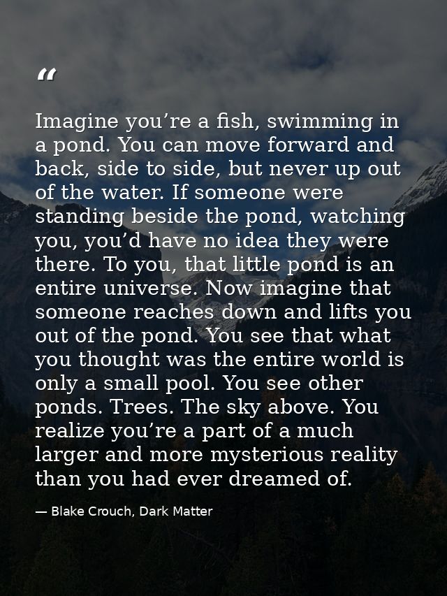 Imagine you’re a fish, swimming in a pond. You can move forward and back, side to side, but never up out of the water. I — Blake Crouch, Dark Matter