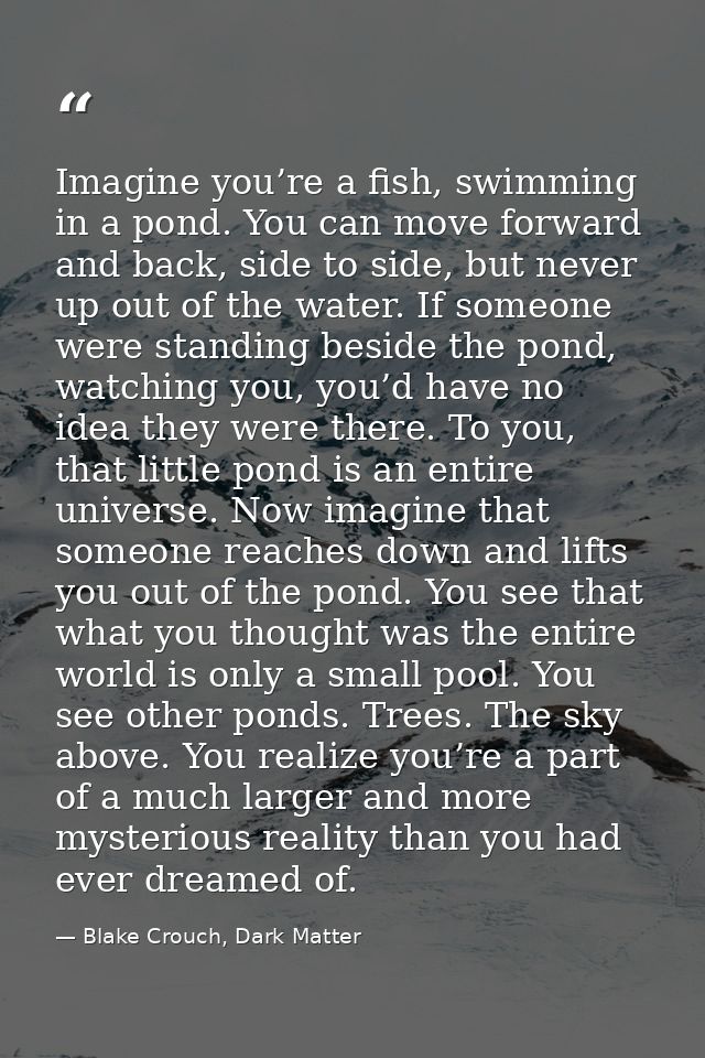 Imagine you’re a fish, swimming in a pond. You can move forward and back, side to side, but never up out of the water. I — Blake Crouch, Dark Matter