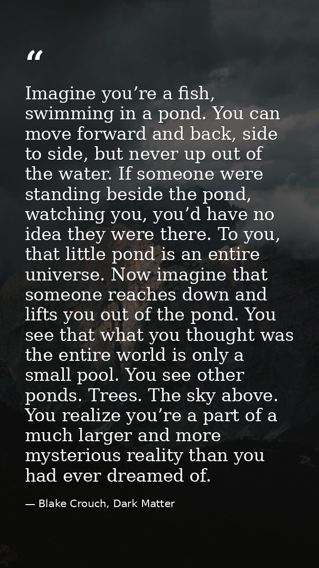 Imagine you’re a fish, swimming in a pond. You can move forward and back, side to side, but never up out of the water. I — Blake Crouch, Dark Matter