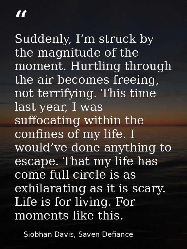 Suddenly, I’m struck by the magnitude of the moment. Hurtling through the air becomes freeing, not terrifying. This time — Siobhan Davis, Saven Defiance