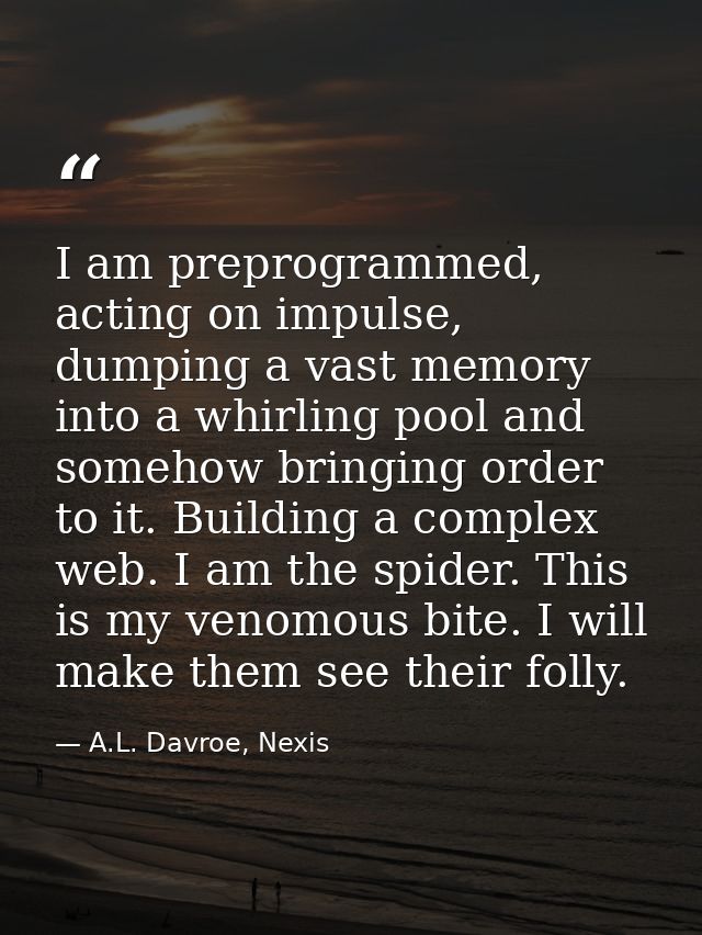 I am preprogrammed, acting on impulse, dumping a vast memory into a whirling pool and somehow bringing order to it. Buil — A.L. Davroe, Nexis