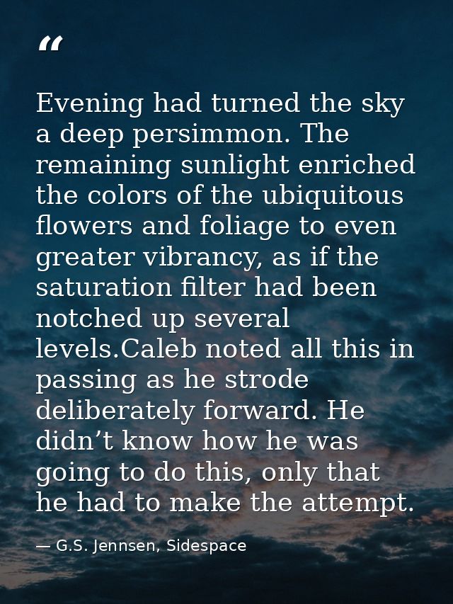 Evening had turned the sky a deep persimmon. The remaining sunlight enriched the colors of the ubiquitous flowers and fo — G.S. Jennsen, Sidespace