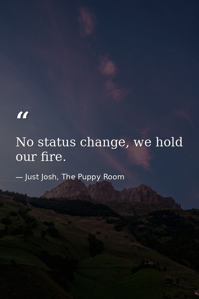 No status change, we hold our fire. — Just Josh, The Puppy Room