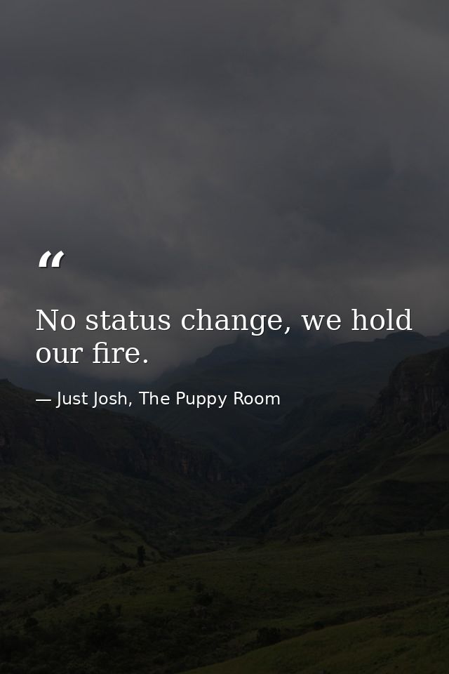 No status change, we hold our fire. — Just Josh, The Puppy Room