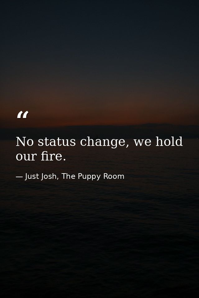 No status change, we hold our fire. — Just Josh, The Puppy Room
