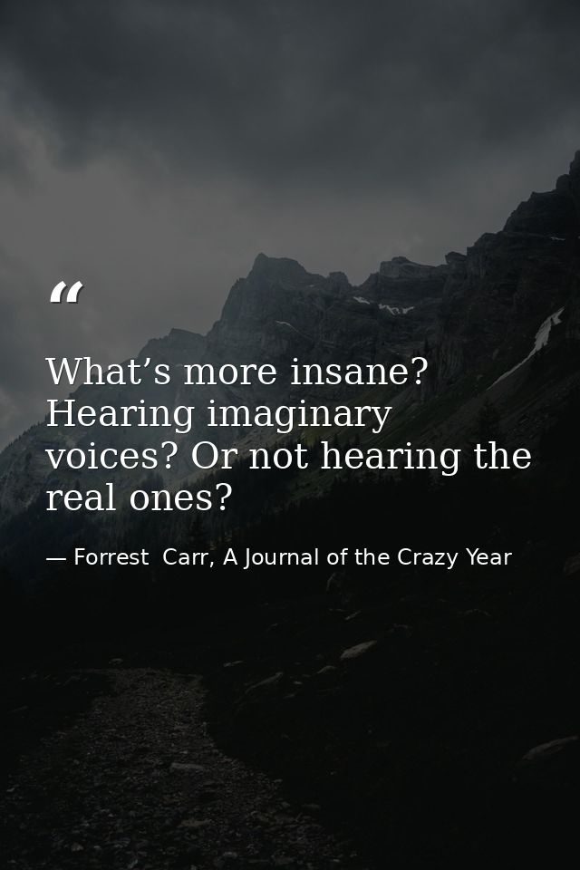 What’s more insane? Hearing imaginary voices? Or not hearing the real ones? — Forrest  Carr, A Journal of the Crazy Year