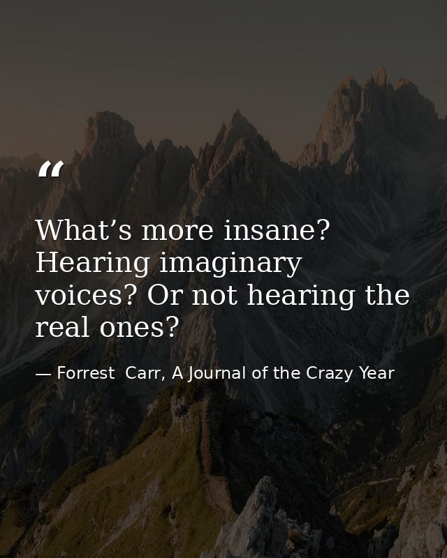 What’s more insane? Hearing imaginary voices? Or not hearing the real ones? — Forrest  Carr, A Journal of the Crazy Year