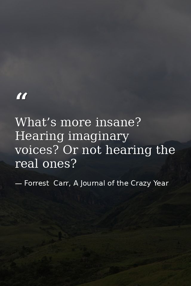 What’s more insane? Hearing imaginary voices? Or not hearing the real ones? — Forrest  Carr, A Journal of the Crazy Year