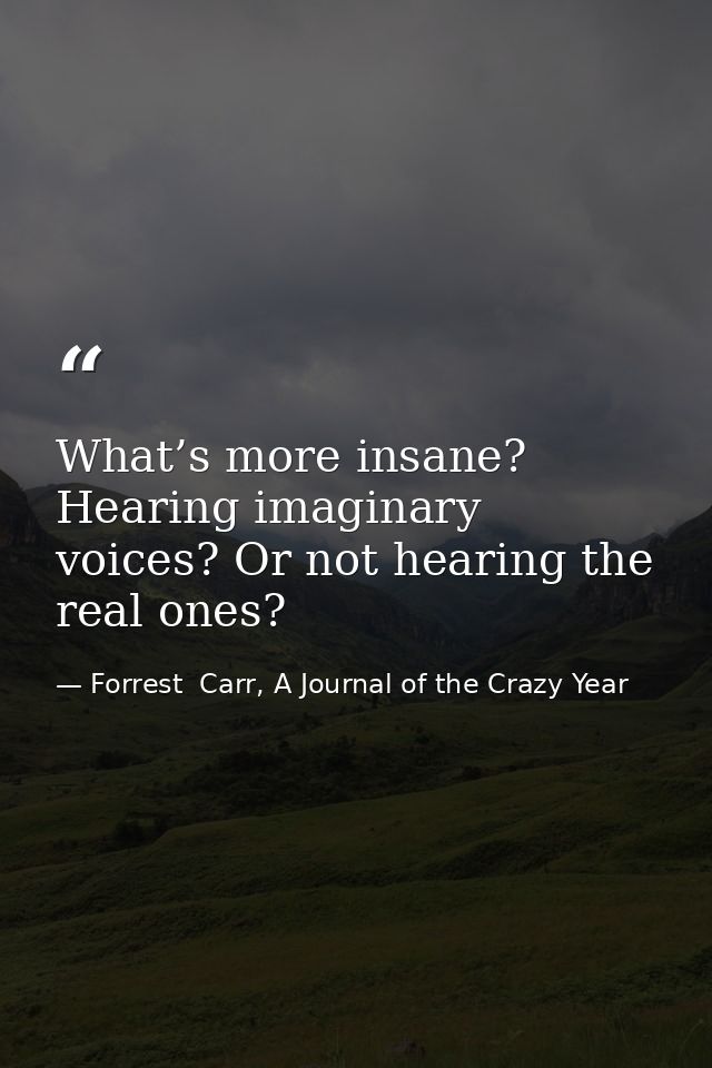 What’s more insane? Hearing imaginary voices? Or not hearing the real ones? — Forrest  Carr, A Journal of the Crazy Year
