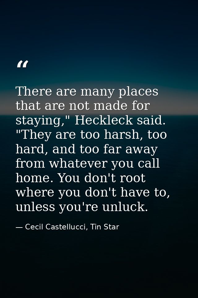 There are many places that are not made for staying," Heckleck said. "They are too harsh, too hard, and too far away fro — Cecil Castellucci, Tin Star