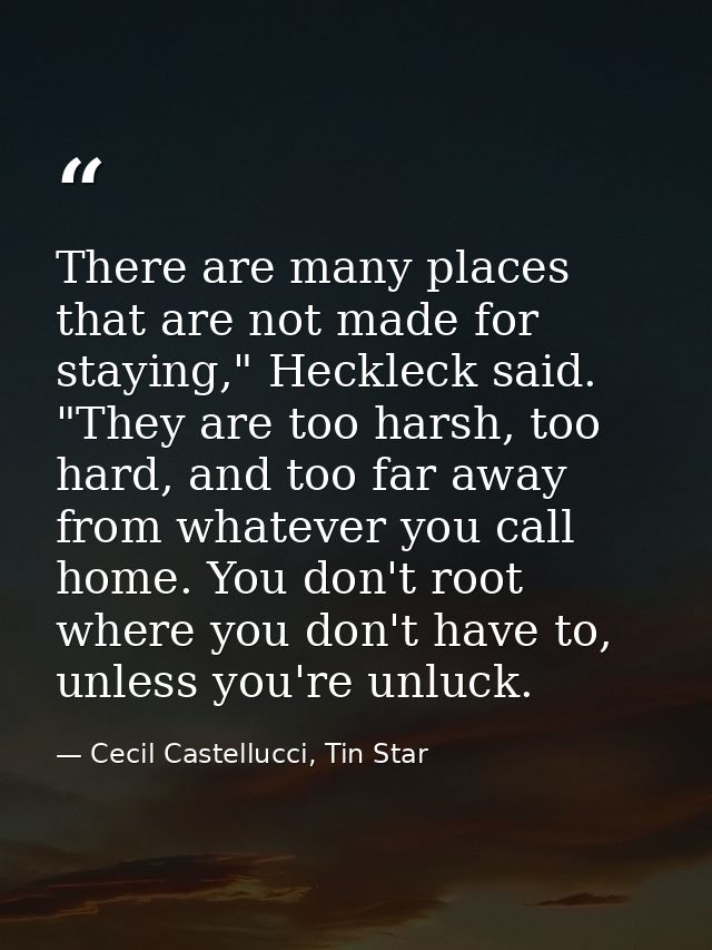 There are many places that are not made for staying," Heckleck said. "They are too harsh, too hard, and too far away fro — Cecil Castellucci, Tin Star