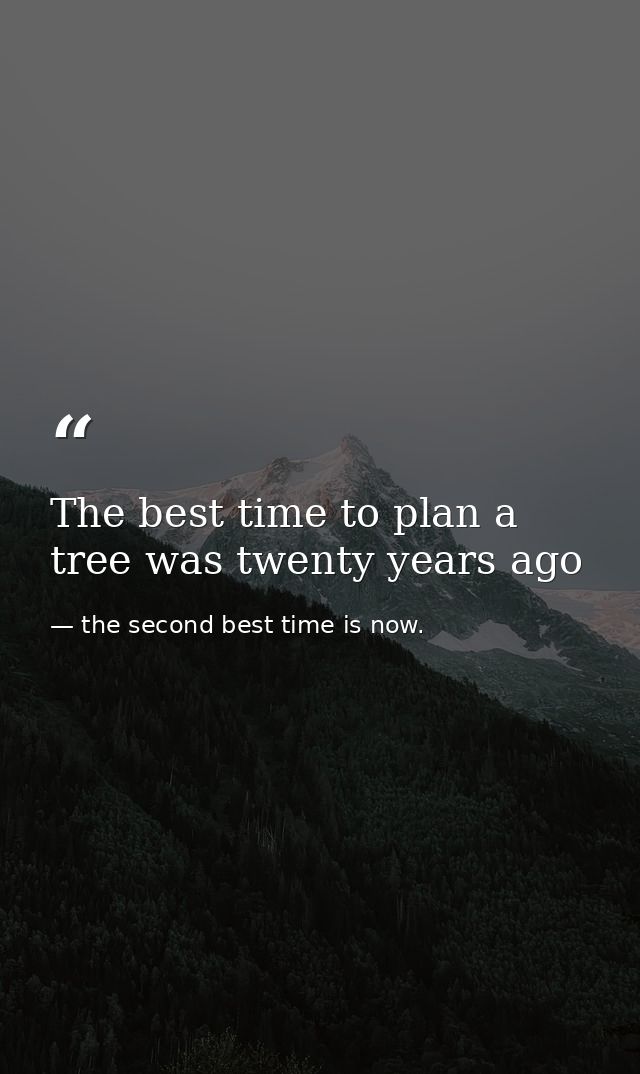 The best time to plan a tree was twenty years ago — the second best time is now.