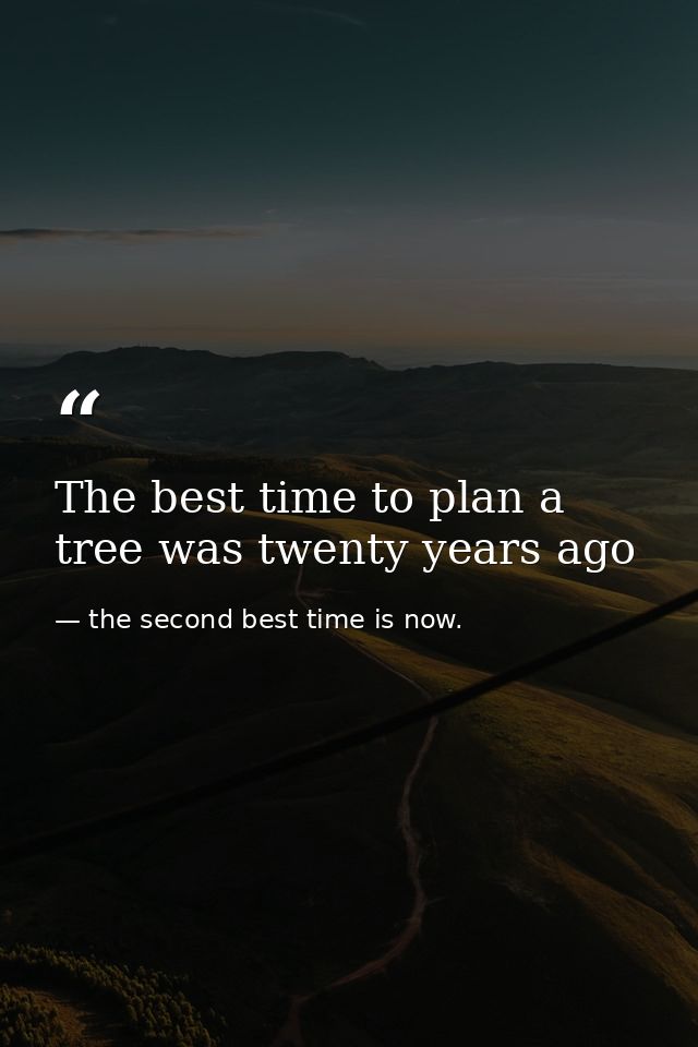 The best time to plan a tree was twenty years ago — the second best time is now.
