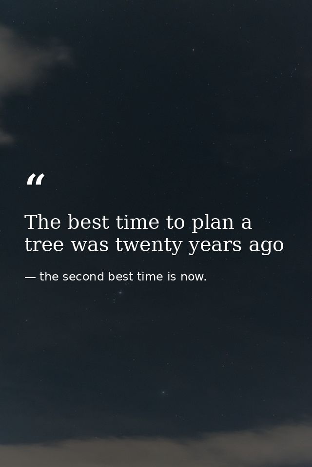 The best time to plan a tree was twenty years ago — the second best time is now.