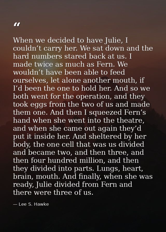 When we decided to have Julie, I couldn’t carry her. We sat down and the hard numbers stared back at us. I made twice as — Lee S. Hawke