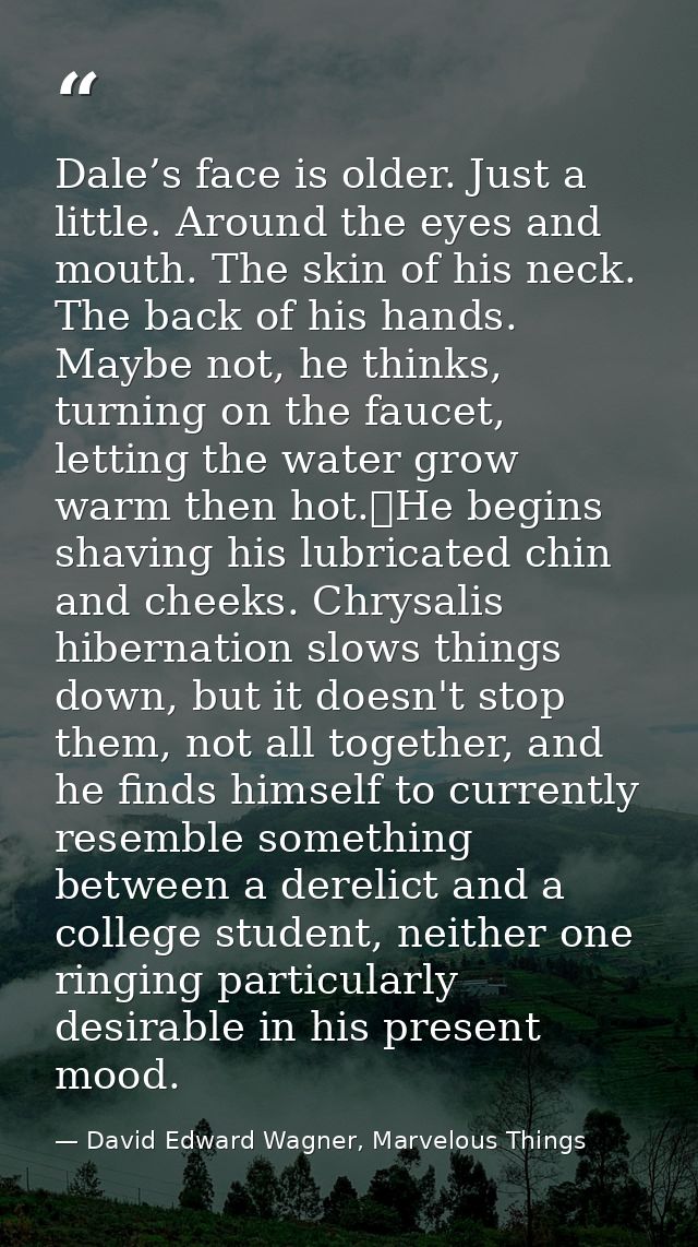 Dale’s face is older. Just a little. Around the eyes and mouth. The skin of his neck. The back of his hands. Maybe not,  — David Edward Wagner, Marvelous Things