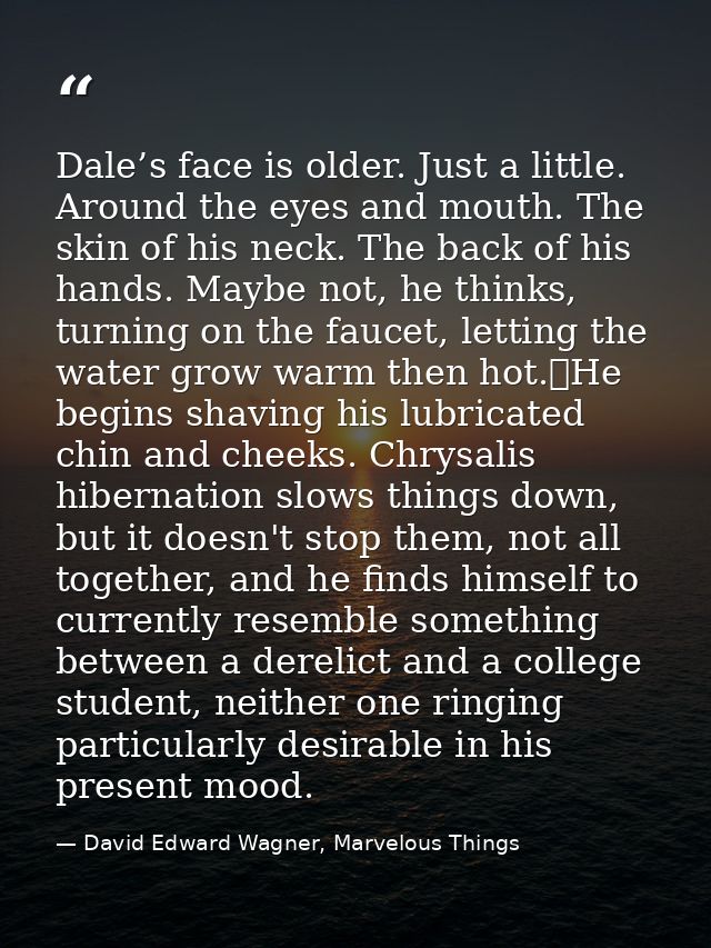Dale’s face is older. Just a little. Around the eyes and mouth. The skin of his neck. The back of his hands. Maybe not,  — David Edward Wagner, Marvelous Things